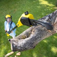 Best Lawn Mowing  in North Hornell, NY